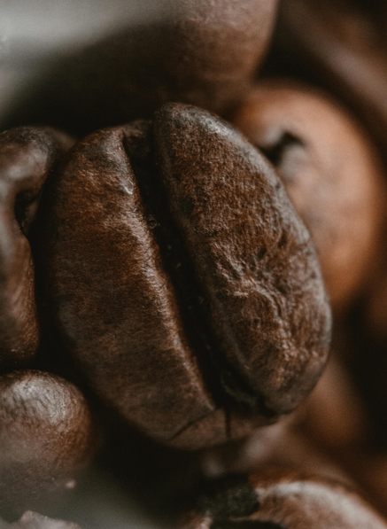 Caffeine and L-Theanine Synergy in Smart Coffee