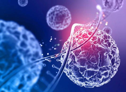 Fuel Your Cells: Mitochondria and Instant Coffee