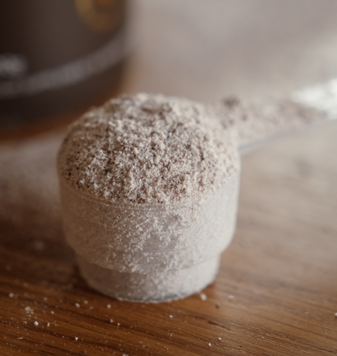 Why the Form of a Nutrient Matters More Than the Dose — and What Most Supplement Brands Get Wrong About Absorption